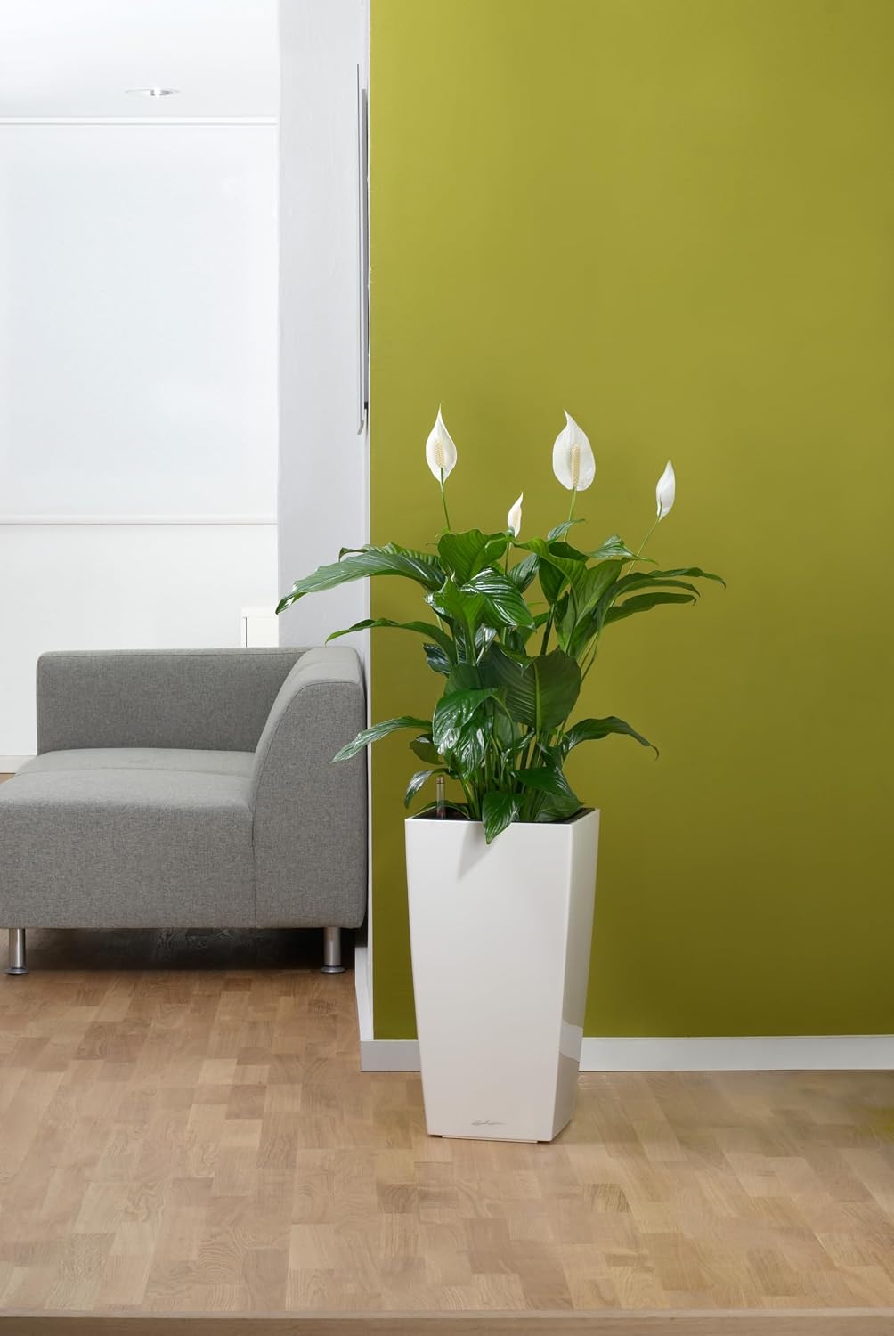 LECHUZA CUBICO Premium 30 weiss hochglanz 18181 29.5x29.5x56.5 cm Weiss Hochglanz, 29.5x29.5x56.5 cm