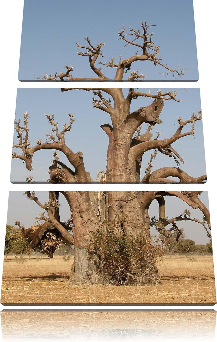 Pixxprint vertrockneter Baum in der Savanne als Leinwandbild/Grösse: 3 Teilig (120x80) cm/Wandbild/K