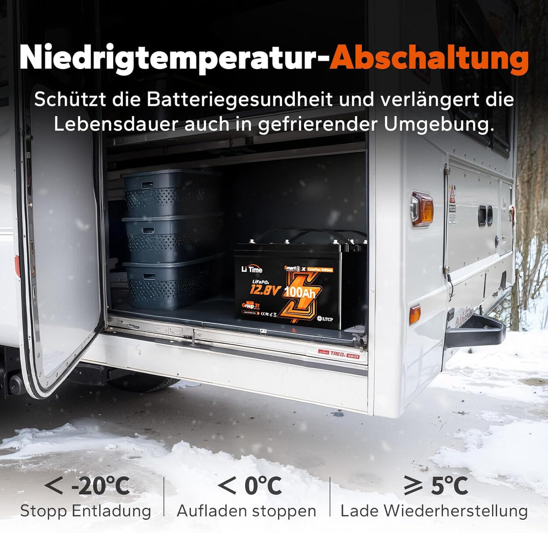 LiTime LiFePO4 12V 100Ah Lithium Batterie Bluetooth mit Victron System, CAN/RS485 Kommunikation, 100