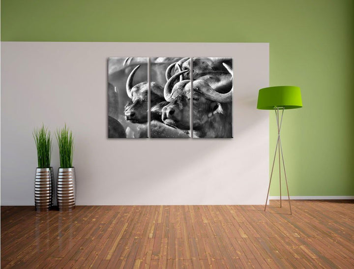 Pixxprint Monocrome, Zwei gemütliche Wasserbüffel 3-Teiler Leinwandbild 120x80 Bild auf Leinwand