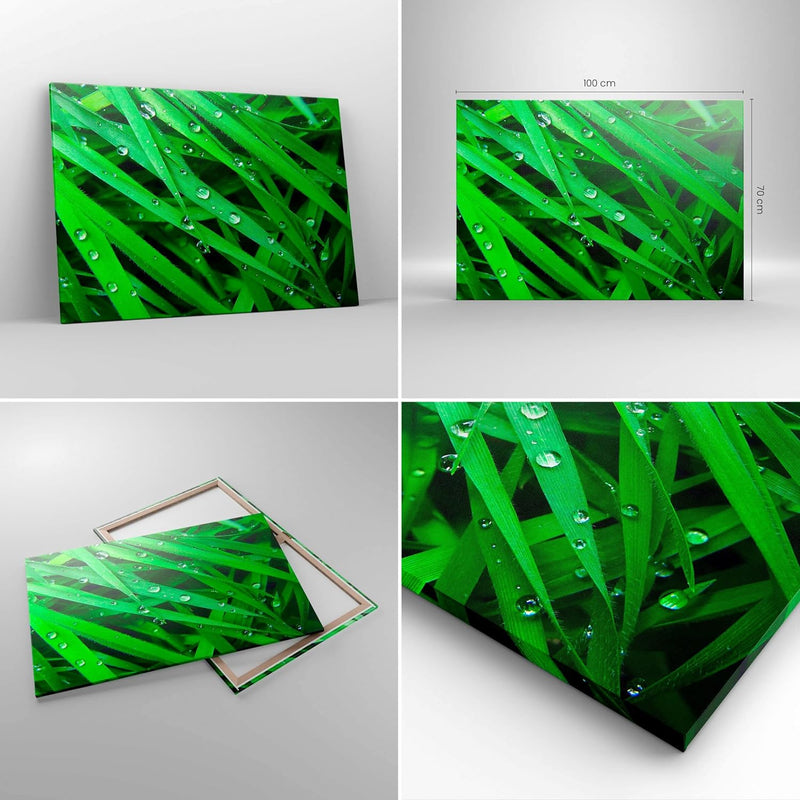 Bilder auf Leinwand 100x70cm Leinwandbild Natur Gras Wasser Tropfen Gross Wanddeko Bild Schlafzimmer