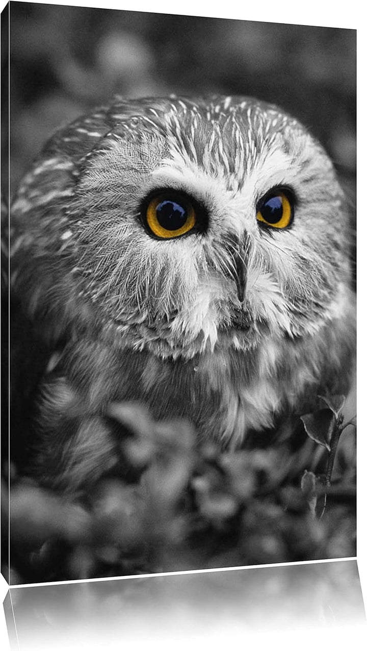 Pixxprint junger Kauz im Vogelbeerstrauch schwarz/weiss, Format: 80x120 auf hochkantiges Leinwand, 8