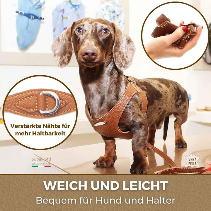 PUPAKIOTTI Basic Hundegeschirr Kleine und mittlere Grösse | Ergonomisches und verstellbares Hundeges