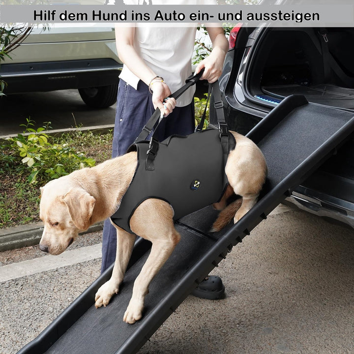 Coodeo Hundeliftgeschirr, Haustierunterstützung & Rehabilitation Sling Lift Verstellbare Gepolsterte