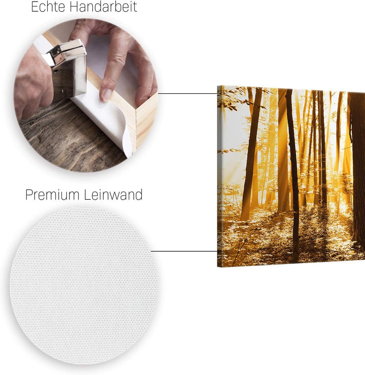 ge Bildet Bild auf Leinwand | Landschaftsbilder - beautiful morning in the forest G in 100x40 cm als