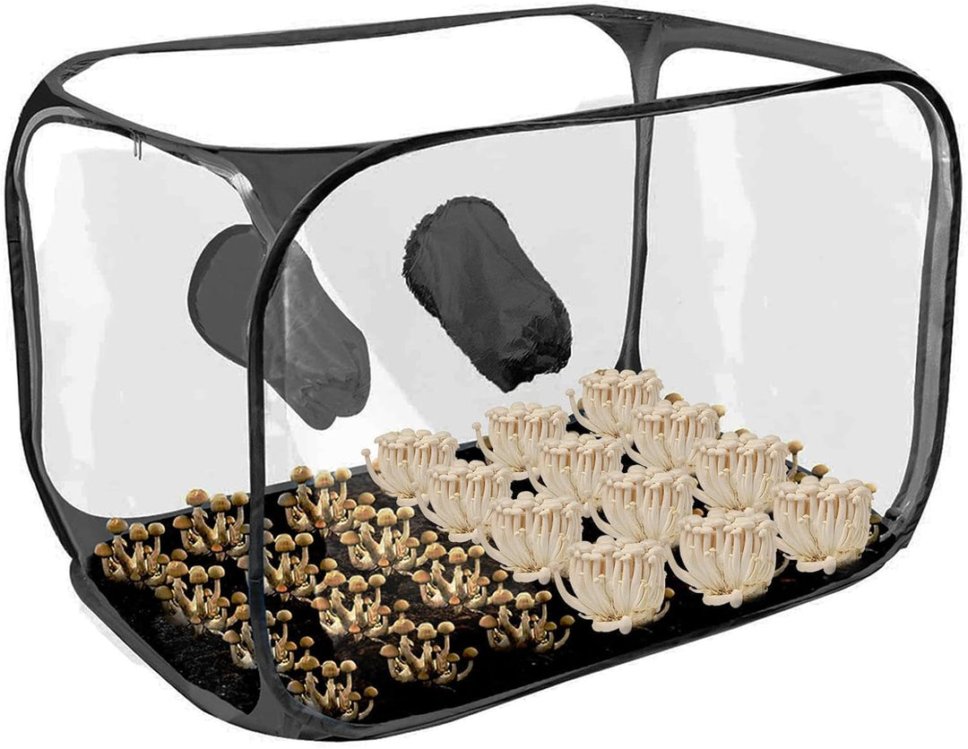 Pilzzuchtzelt Aufklappbares faltbares belüftetes Anbauhaus | 76 x 43 x 44,5 cm Pilzbox Geeignet Für