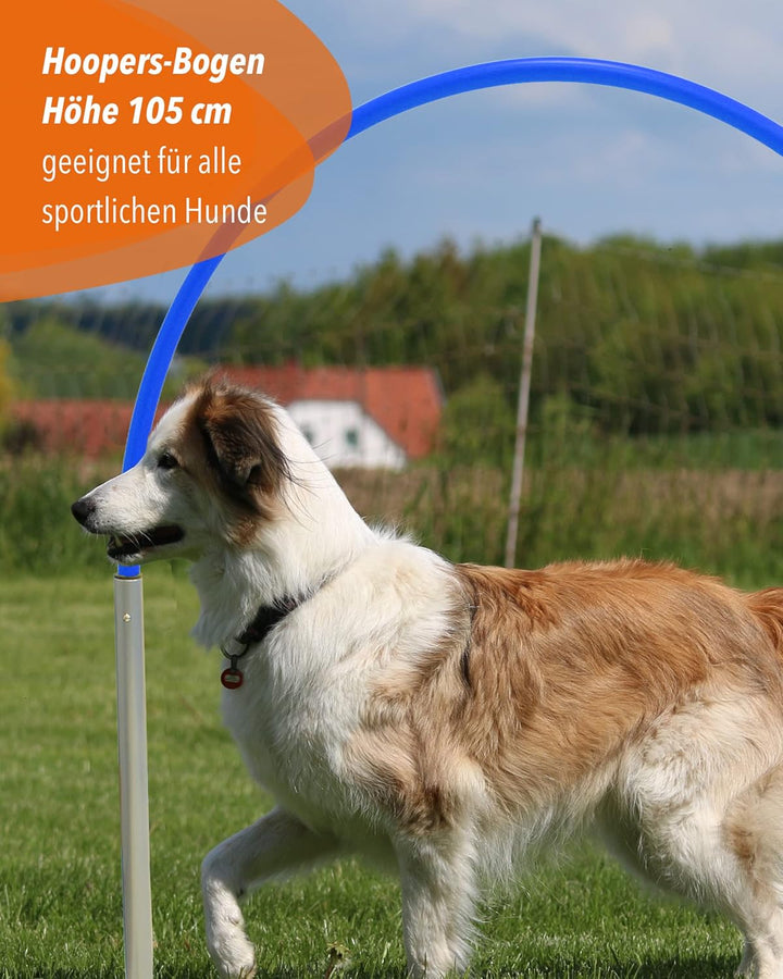 Hoopers Hoop mit Aluminiumfüssen und flexiblem Steckbogen, stabil & VDH-konform, Bogenfarbe Weiss, w