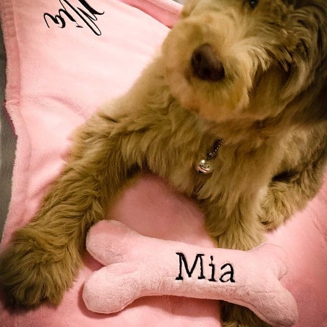 Generisch Personalisiertes Hundespielzeug Knochen mit Name – Welpengeschenk aus weichem Minky Plüsch