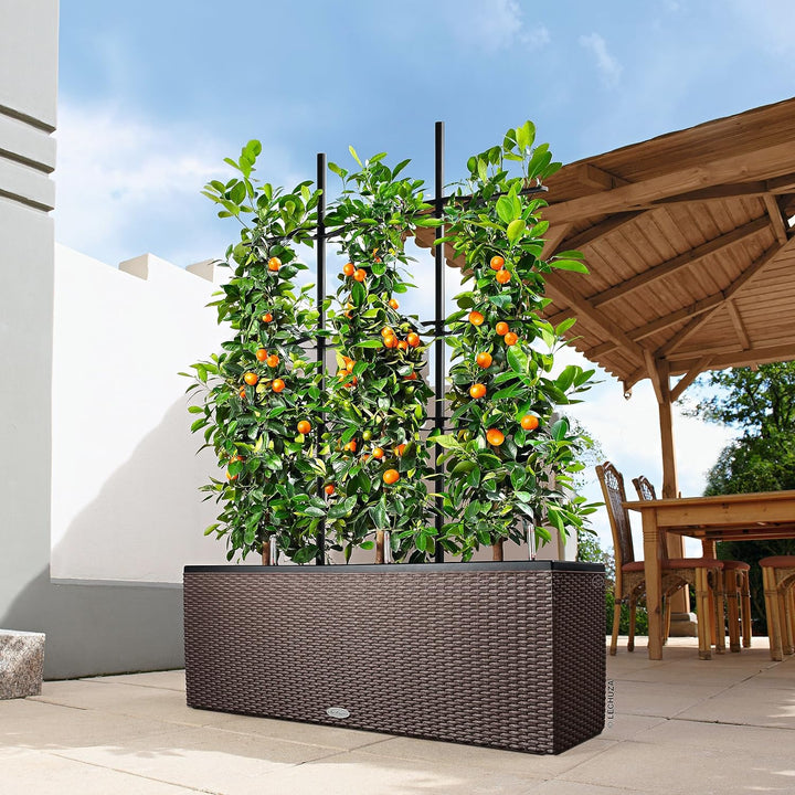 LECHUZA TRIO Cottage 30 mokka 15005 Pflanzgefäss mit Erd-Bewässerungs-System 100x32,5x34,5 cm Mokka,
