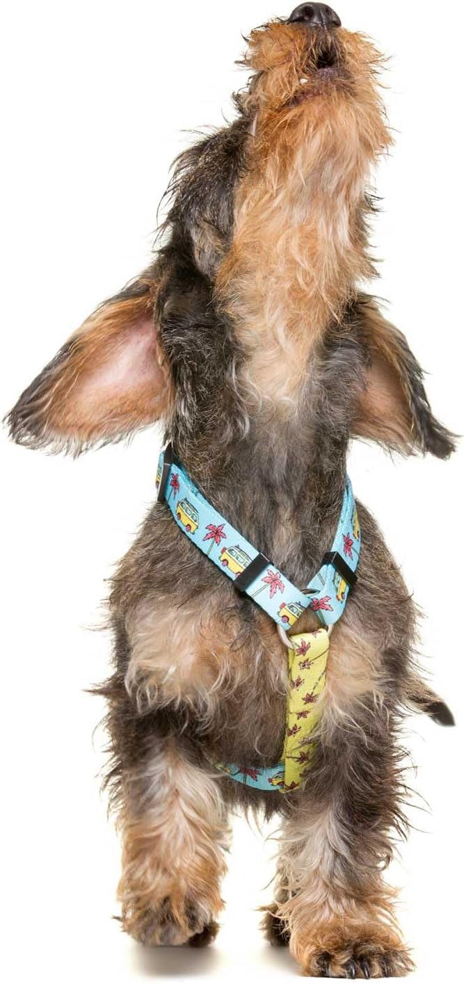 DUKIER – Klassisches Hundegeschirr, Anti-Zug-Weste, verstellbar und in H-Form für Haustiere, Zertifi