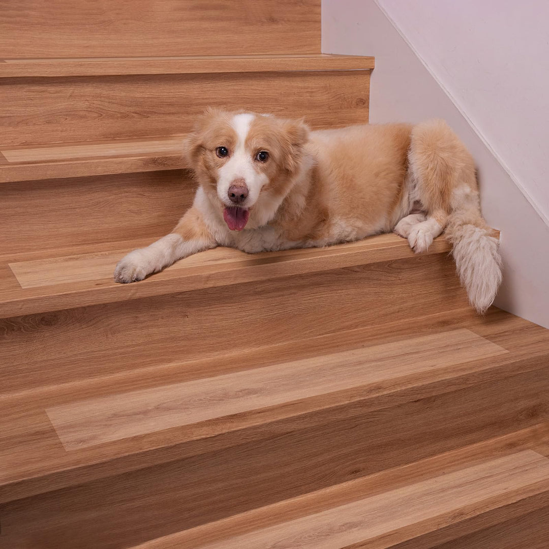 Spurtar Treppenstufen Matten Transparent Treppenteppich Antirutsch Stufenmatten, Teppichfliesen Selb