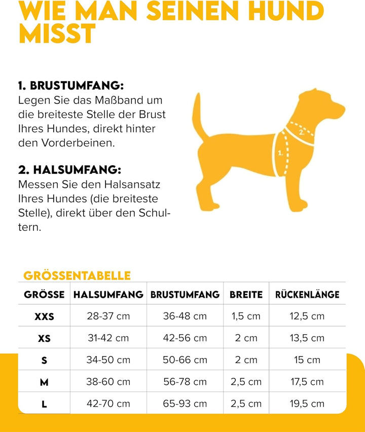 Woolly Wolf Color Block Hundegeschirr für kleine Hunde S – Geschirr mit Reflektoren &amp; 5-Punkt-Anpass