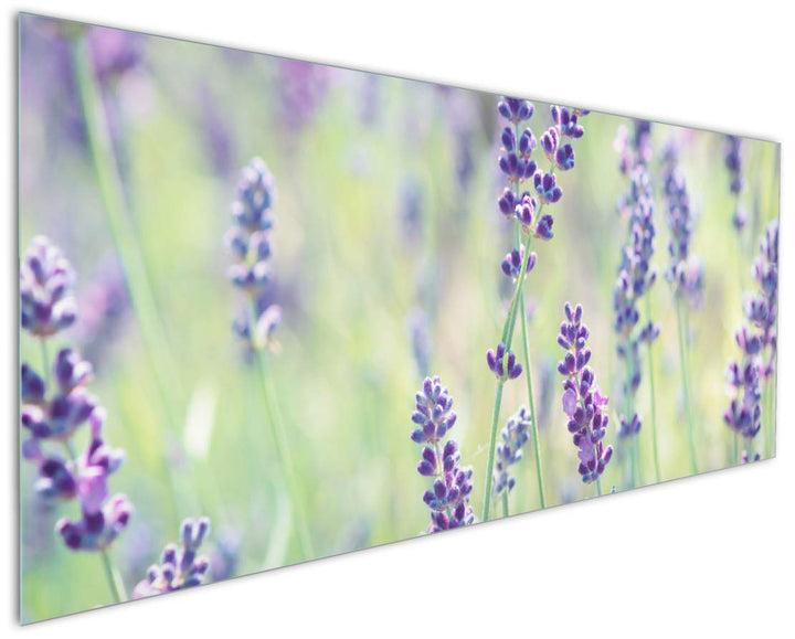 Wallario Küchen-Rückwand | Küchenspiegel Lila Blumenfreude - Violette Pflanzen auf der Wiese in Prem