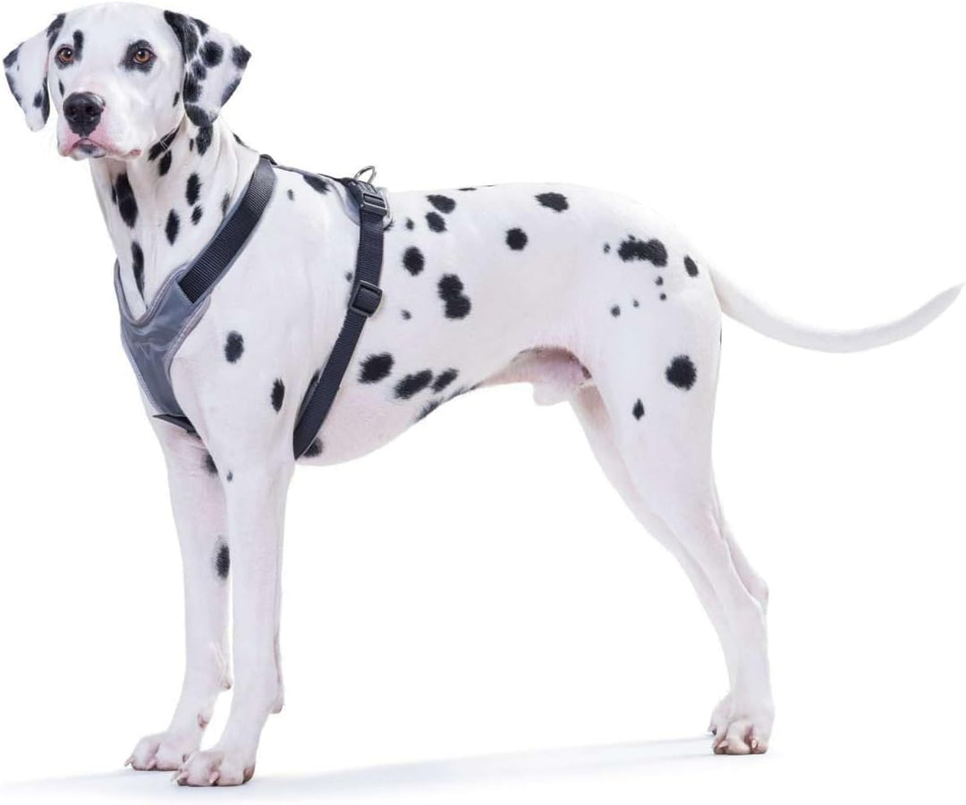 Hunter Hunde-Geschirr Neopren schwarz/grau Extra Small, schwarz/grau Extra Small