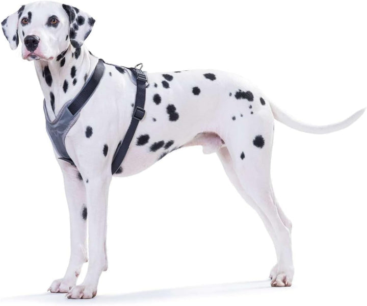 Hunter Hunde-Geschirr Neopren schwarz/grau Extra Small, schwarz/grau Extra Small