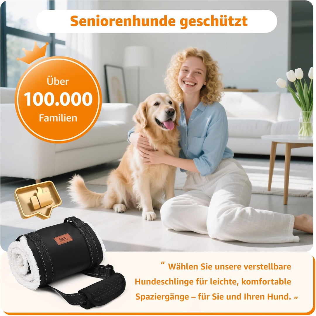 Hundegeschirr Hunde Tragehilfe Einstellbar Gehhilfe Hund Treppe Hund Hinten Lift Support Geschirr Kl