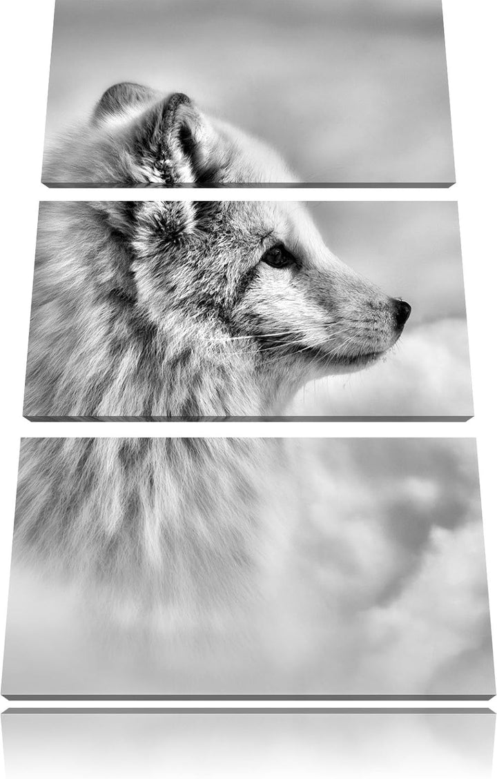 Pixxprint Anmutiger Polarfuchs im Schnee als Leinwandbild/Grösse: 3 Teilig (120x80) / Wandbild/Kunst