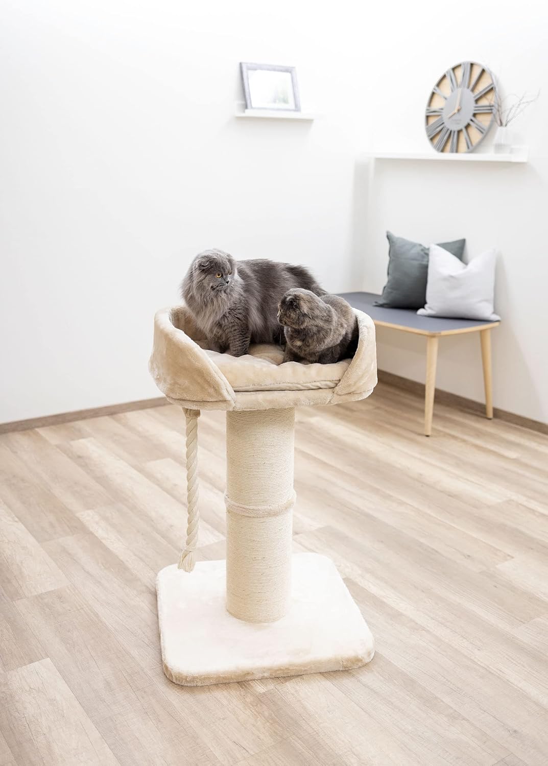 Kerbl Pet Kratzbaum Toni XL, Katzenkratzbaum, beige, 58x58x93cm, stabil und standfest, für Maine Coo