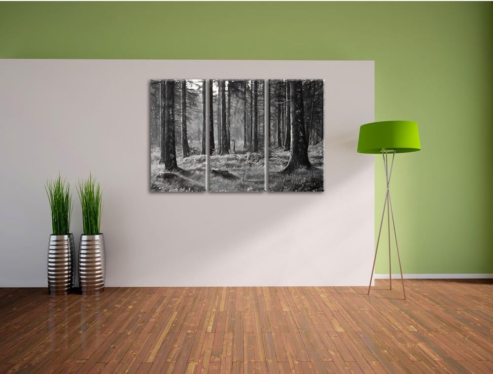 Pixxprint sonniger Tag im Wald / 3-Teilig/Gesamtmass 120cm Leinwandbild bespannt auf Holzrahmen/Wand