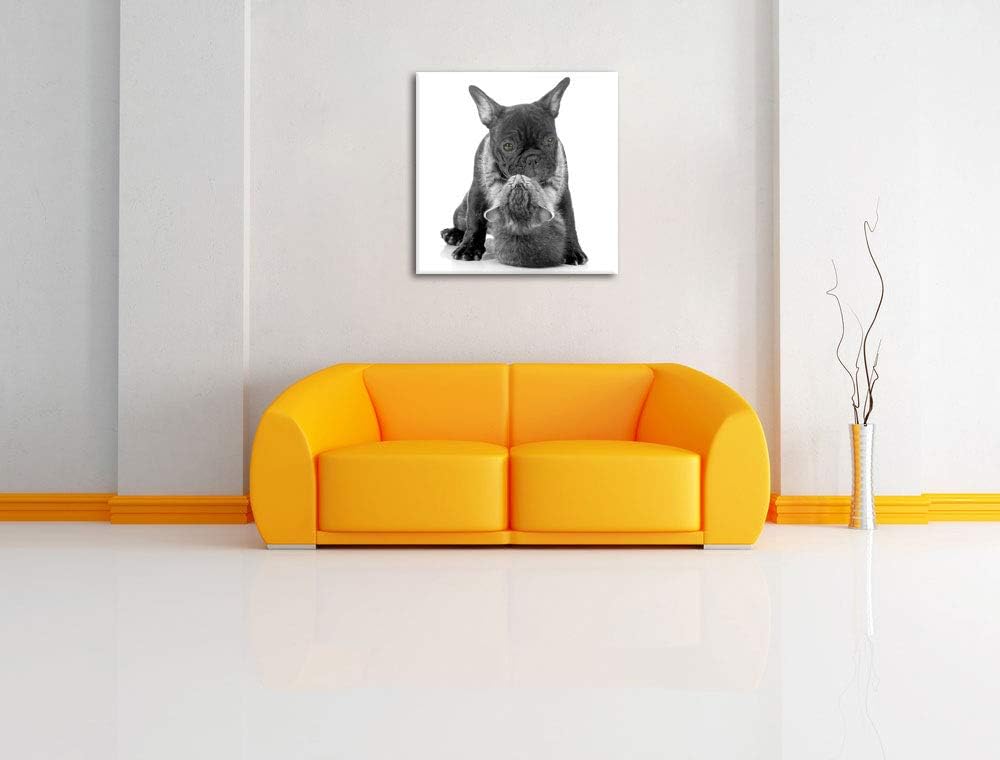 Pixxprint Katze hängt an Mops als Leinwandbild/Grösse: 70x70 cm/Wandbild/Kunstdruck/fertig bespannt,