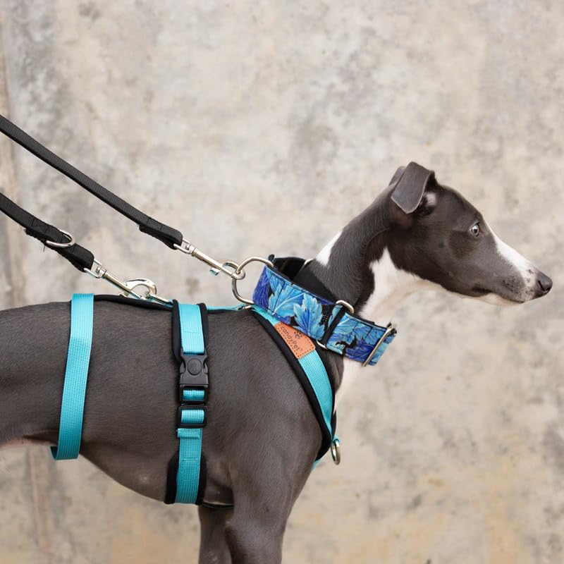3-Punkt-Gurt mit Anti-Ziehen, ideal für Lebreles: Italienischer Windhund, Whippet, Windhund, Podenco