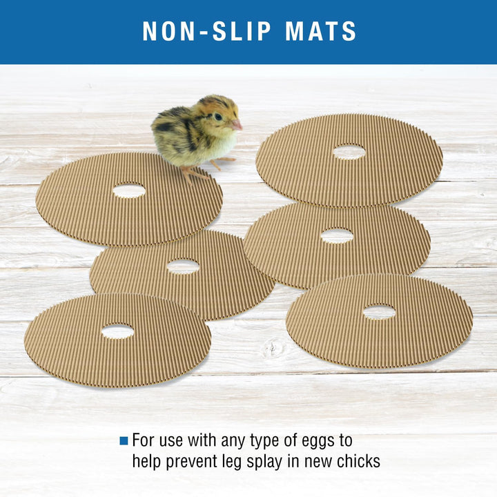 Brinsea Products Maxi II Brutmatten für Eier, Einheitsgrösse