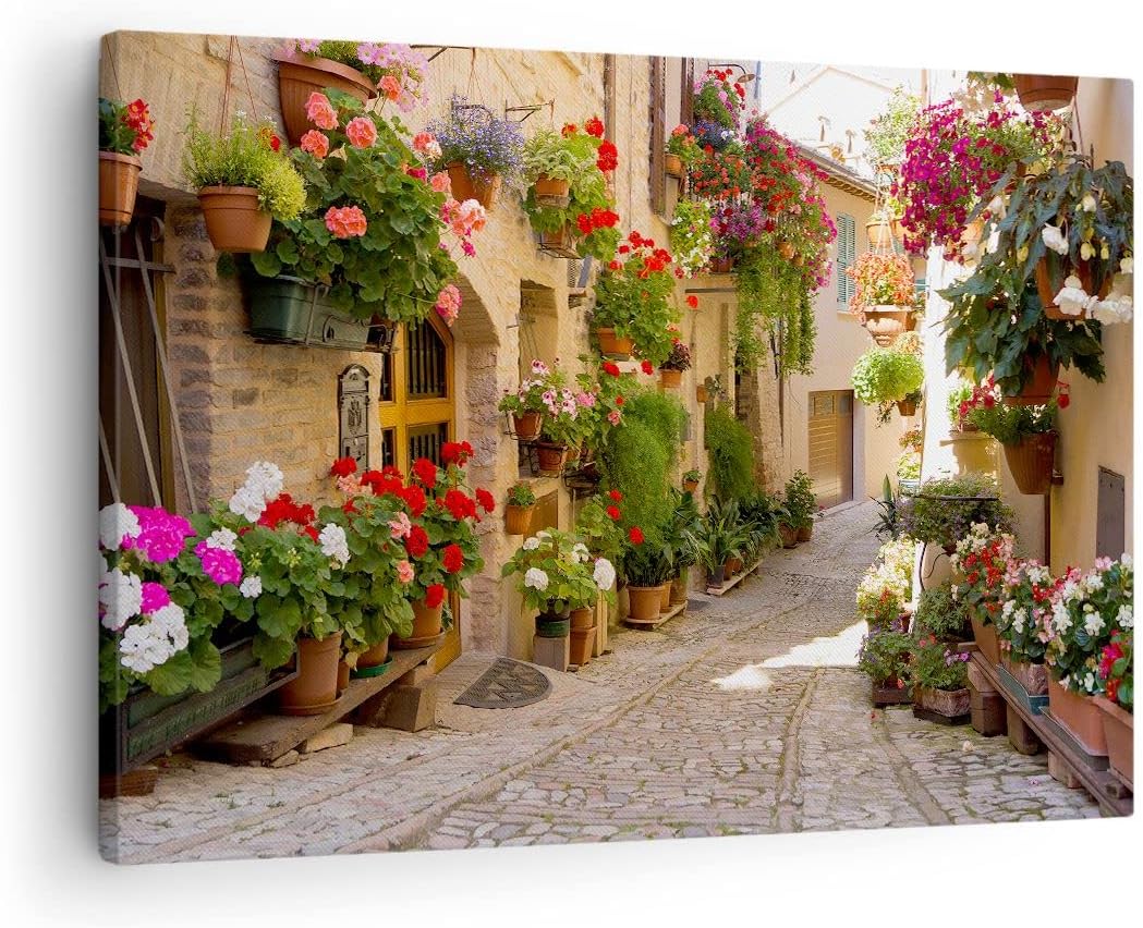 Bilder auf Leinwand Blume Strasse Haus Leinwandbild mit Rahmen 70x50cm Wandbilder Dekoration Wohnzim