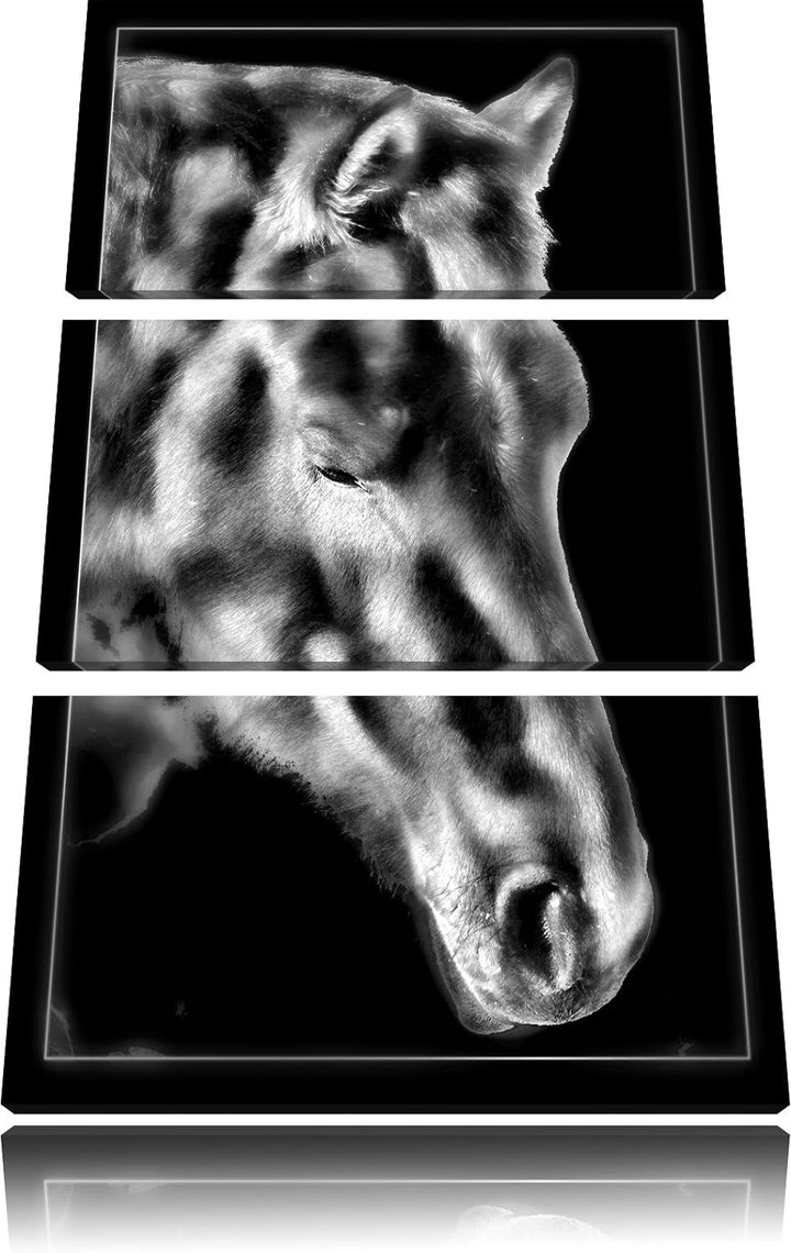 Pixxprint majestätisches Pferd als Leinwandbild/Grösse: 3 Teilig (120x80) cm/Wandbild/Kunstdruck/fer