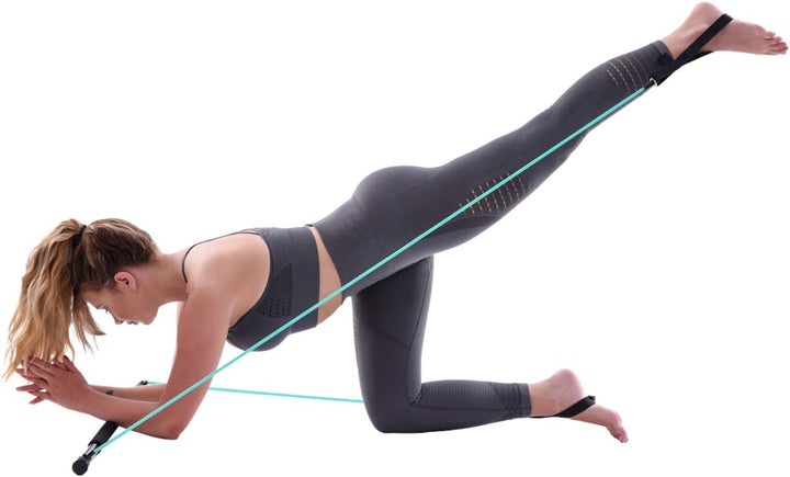 top vit Physio.Stick, Gymnastikstab mit Gummibänder zum Widerstandtraining mit Transporttasche 02: b