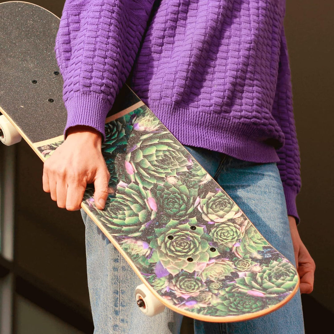 BTFL Komplettboard, Skateboard Deck 8.125" mit ABEC 9 Kugellager für Anfänger und Fortgeschrittene,
