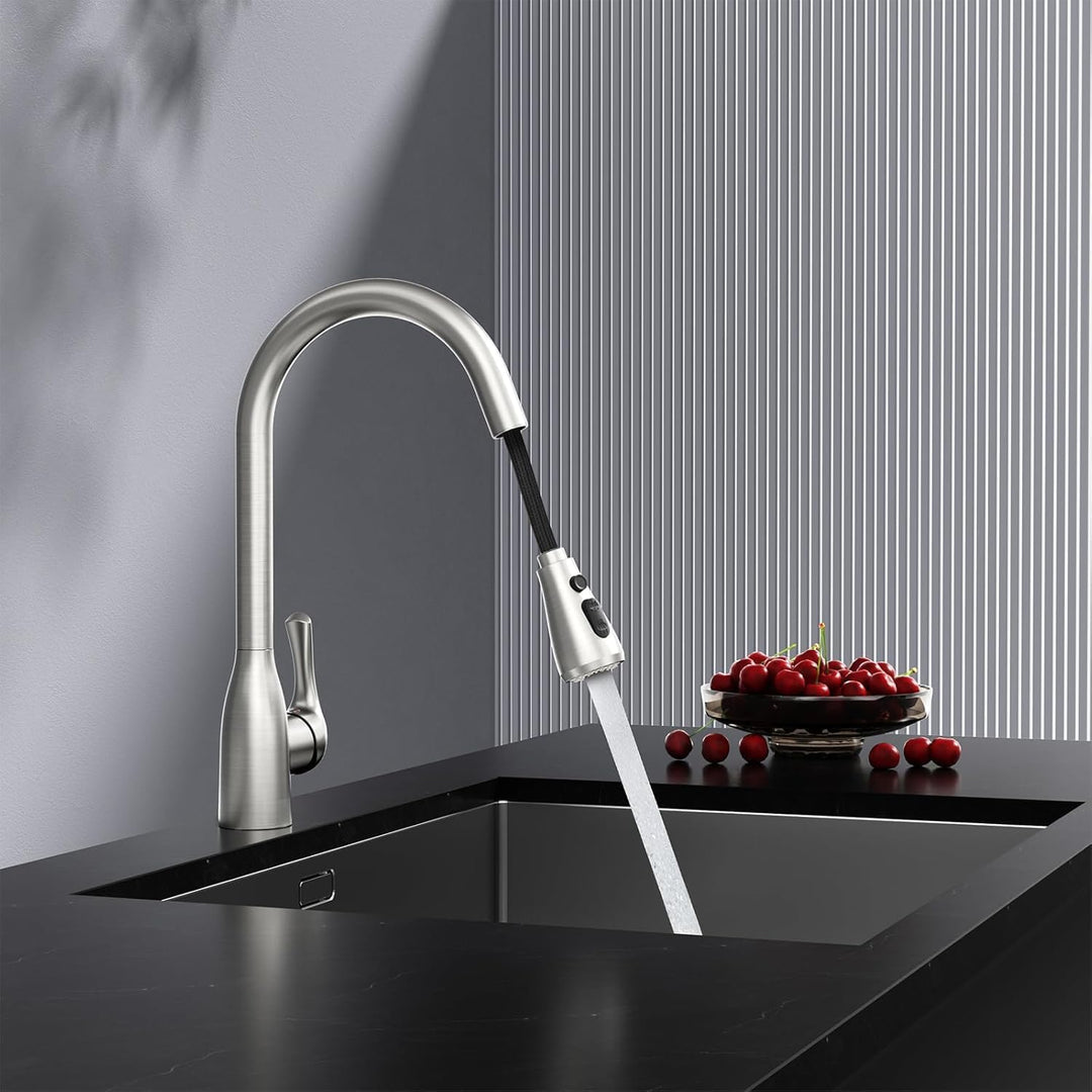 Rainsworth Schwarz Wasserhahn Küche mit Brause Ausziehbar - Hochdruck Küchenarmatur mit Zwei Wassers