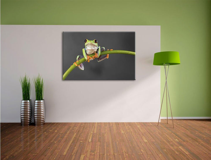 Pixxprint Baum-Frosch auf Bambus als Leinwandbild/Grösse: 100x70 / Wandbild/Kunstdruck/fertig bespan