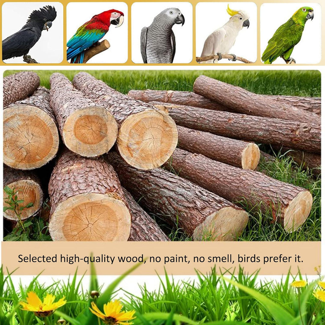 Holzsammlung Vogel Spielplatz Holz, Vogelspielplatz für Wellensittiche, Wellensittich Spielplatz Fre