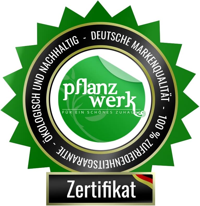 Pflanzwerk® Pflanzkübel Fiberglas Lava HELLGRAU TUB 17x50x17cm *Frostbeständige Blumenkübel* *Deutsc