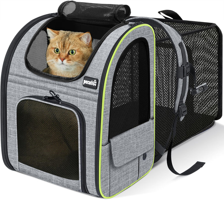 pecute Hunderucksack, Erweiterbar Faltbar, Katzenrucksack Grosse Katzen mit Anti-offener Reissversch