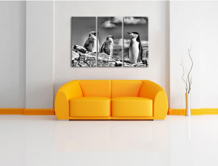 Monocrome, Pinguin mit süssen Küken 3-Teiler Leinwandbild 120x80 Bild auf Leinwand
