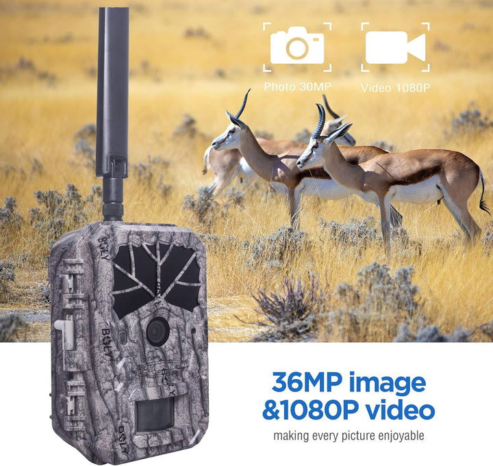BolyGuard Camp Hight nach Camerage Camp 48MP 1080p HD HD Jagdkamera IP66 Kamera Nachtsicht Tiere 30m
