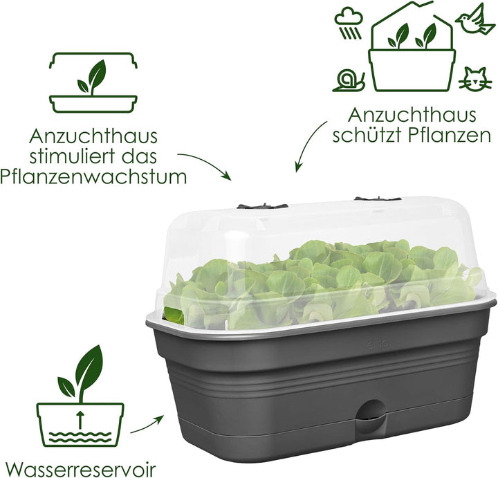 elho Green Basics Anzucht Schale Allin1 32 - Anzuchtset - 100% recyceltes Plastik - Ø 32.0 x H 13.2