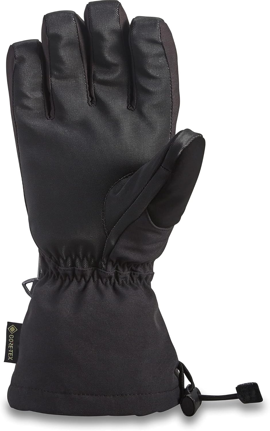 Dakine Sequoia Gore-Tex Schneehandschuh