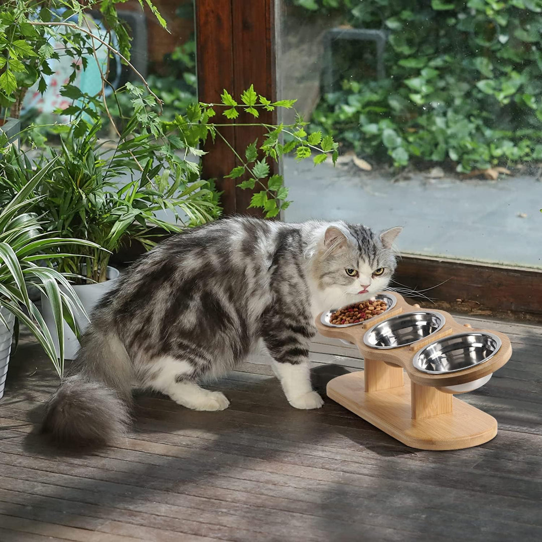 GHIAKQYT Futterstation Katzen 3 Npfe Erhht - Katzennapf 3er Set Hhe   techstudio.ch