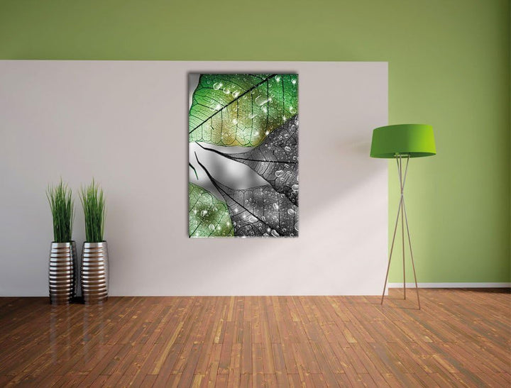 Pixxprint grüne Blätter mit Wassertropfen schwarz/weiss, Format: 70x100 auf hochkantiges Leinwand, 7
