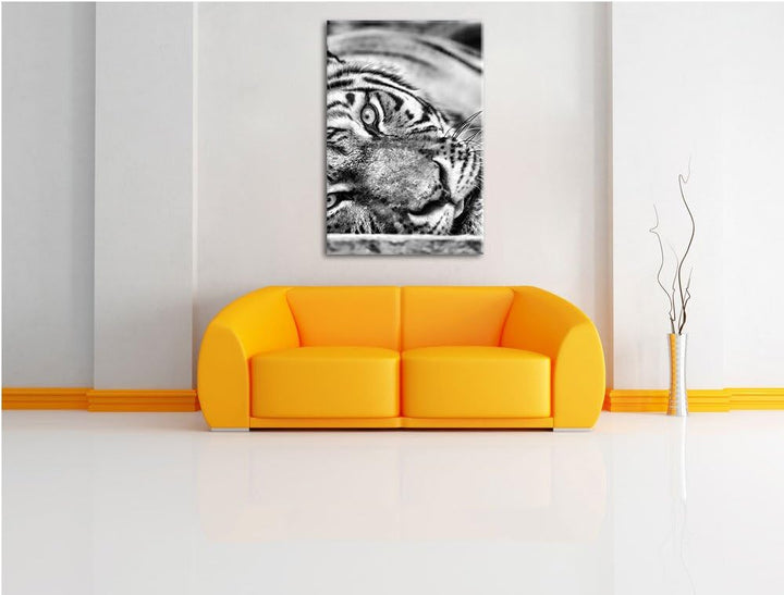 Monocrome, ruhender Tiger, Format: 100x70 auf Leinwand, XXL riesige Bilder fertig gerahmt mit Keilra