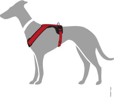 HUNTER NEOPREN Hundegeschirr, Nylon, gepolstert mit Neopren, M/1 53 - 65 cm, rot/schwarz rot/schwarz