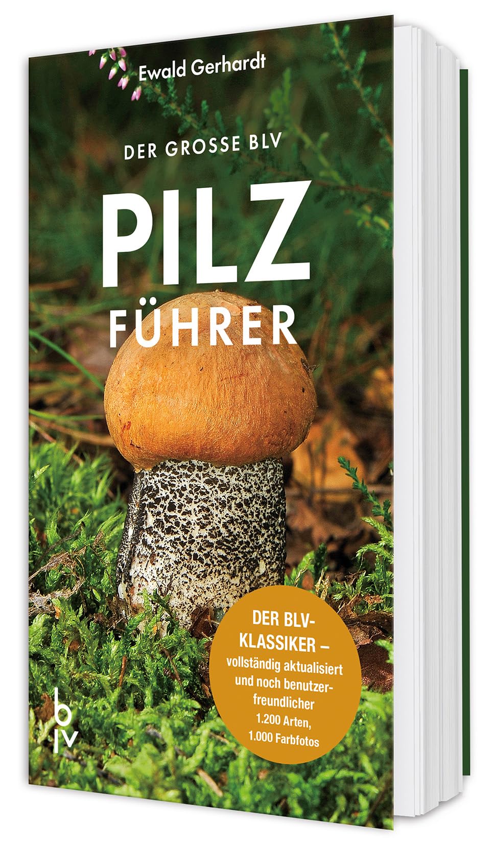 Der grosse BLV Pilzführer: Der BLV-Klassiker – vollständig aktualisiert und noch benutzerfreundliche