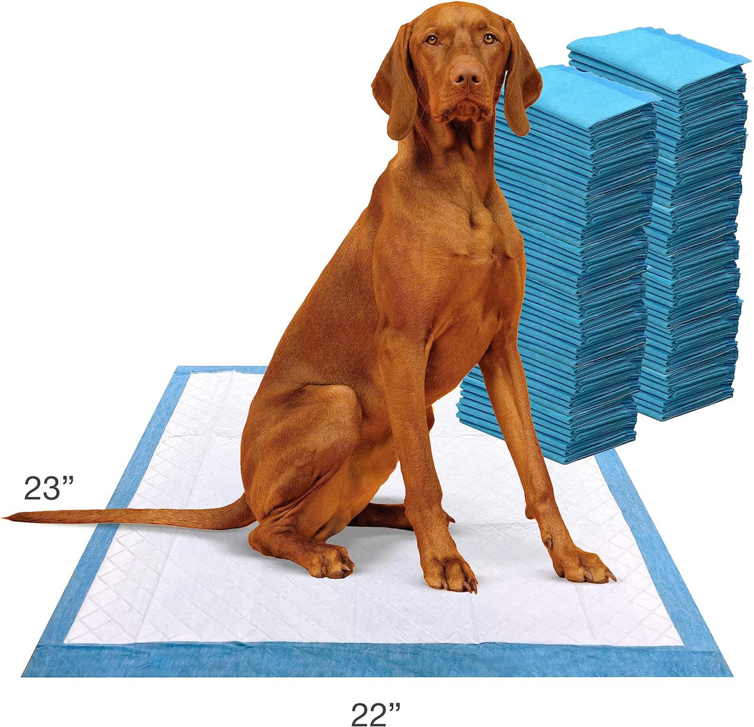 Four Paws Wee-Wee Trainingspads, Geruchskontrolle, 100 Stück 100 Count Geruchskontrolle, 100 Count G