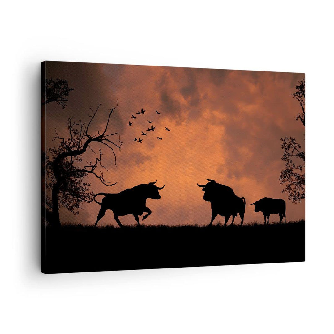 Bilder auf Leinwand Tier wütend Stier Leinwandbild mit Rahmen 70x50cm Wandbilder Dekoration Wohnzimm