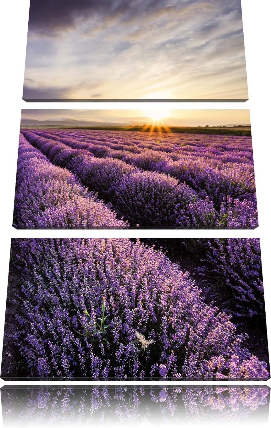 Pixxprint Traumhafte Lavendel Provence als Leinwandbild/Grösse: 3 Teilig (120x80) cm/Wandbild/Kunstd