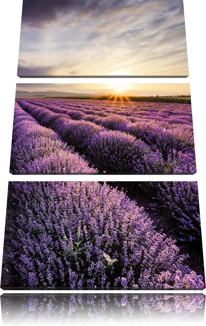Pixxprint Traumhafte Lavendel Provence als Leinwandbild/Grösse: 3 Teilig (120x80) cm/Wandbild/Kunstd