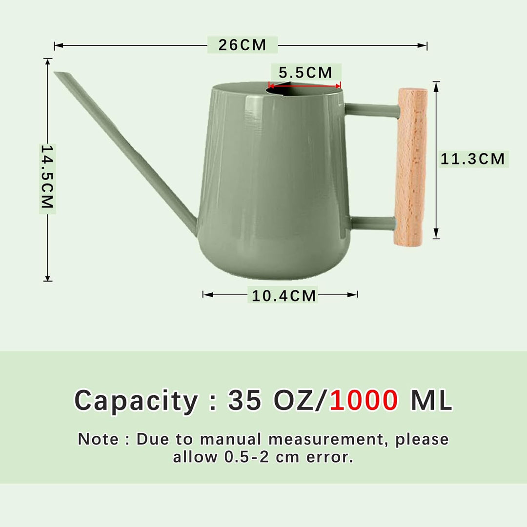 1L Giesskanne Zimmerpflanzen, (1000 ml) 35 Oz Metall Edelstahl Klein Giesskanne mit Langem Auslauf u