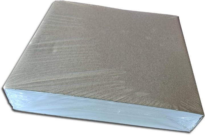 Protected LP Schallplatten Innenhüllen Deluxe 70g (100 Stück)
